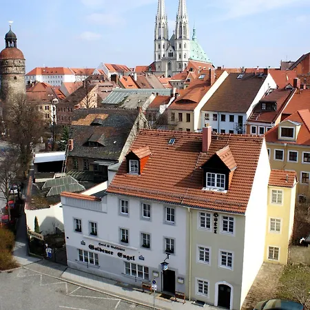 Goldener Engel /pension