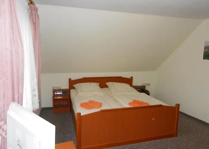 Maison d'hôtes Goldener Engel /pension